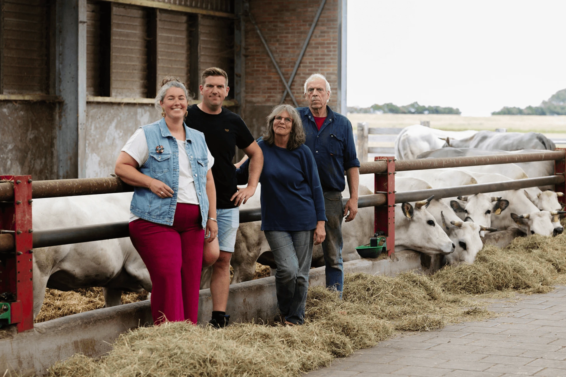 De familie Dros bij de voergang met Piemontese koeien